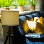 Csenge 2. Apartment