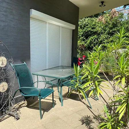 Csenge 2. * 希欧福克