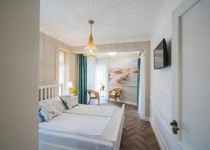 Csenge 2. 希欧福克