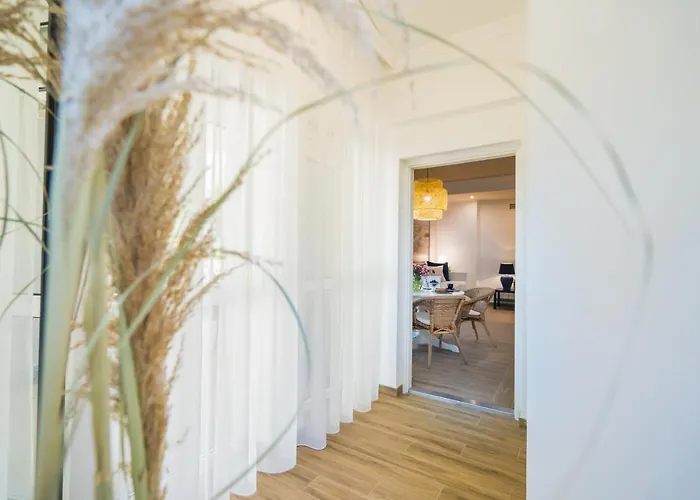 Csenge 2. * 希欧福克