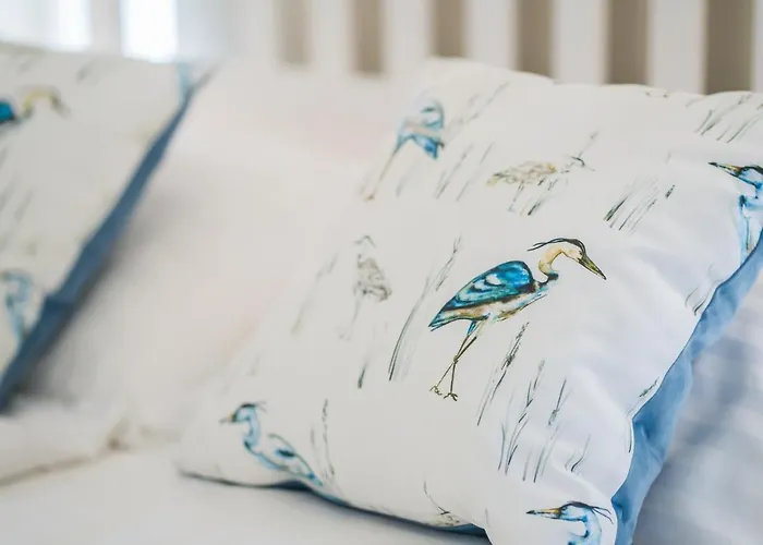 Csenge 2. * 希欧福克