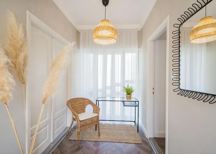 Csenge 2. 希欧福克