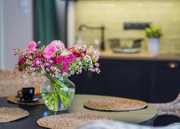 Csenge 2. * 希欧福克